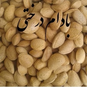 بادام سنگی ایرانی خرید